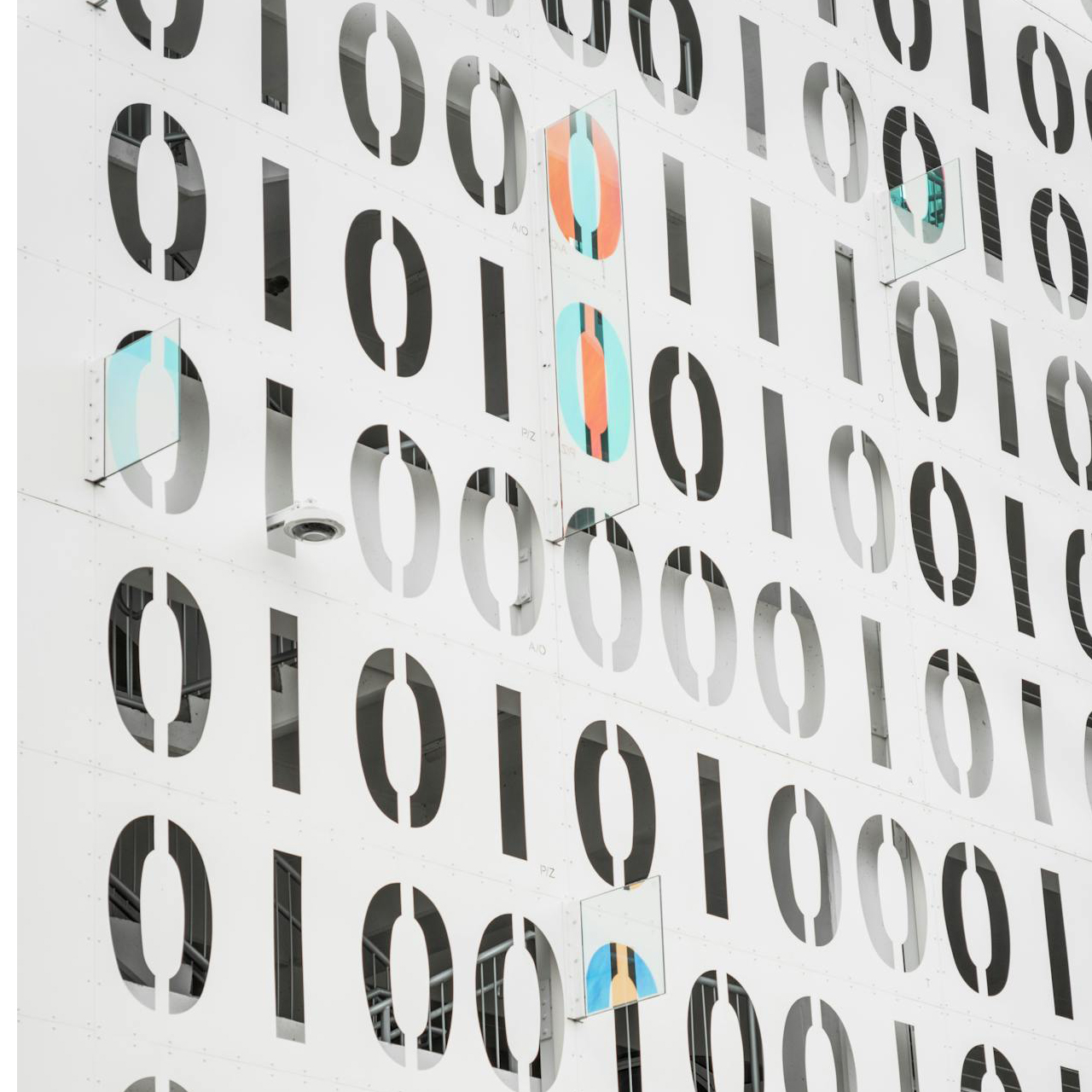 pexels-connorscottmcmanus-14956306