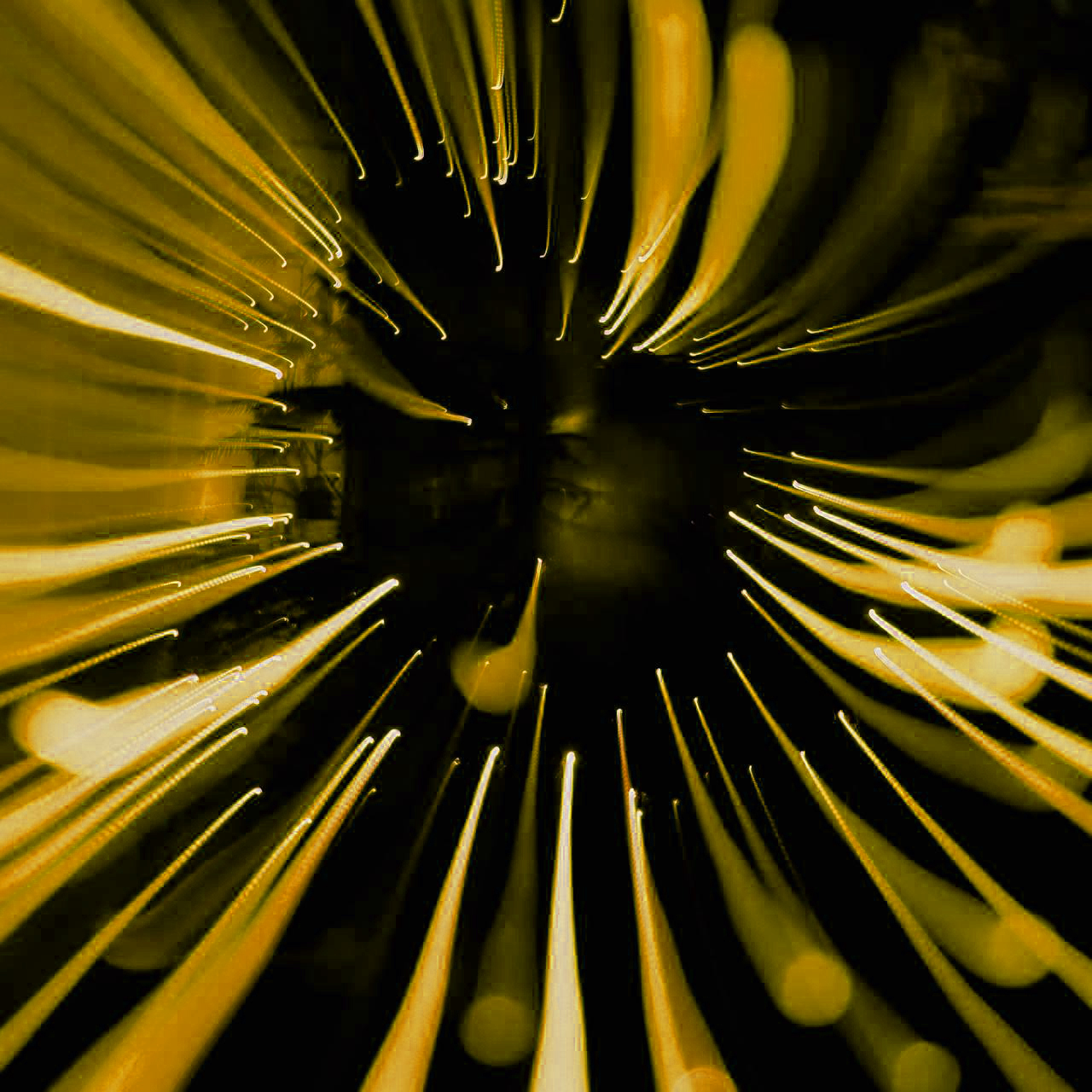 pexels-evija-ciematniece-1914823-35496838